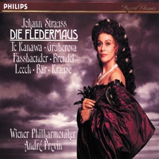 Die Fledermaus - Overture artwork